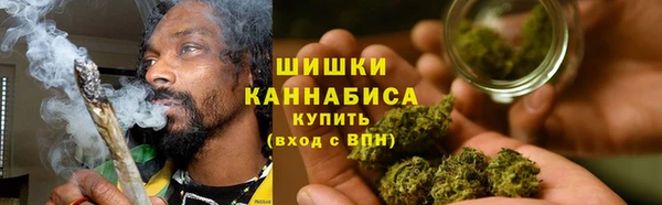 крисы Армянск