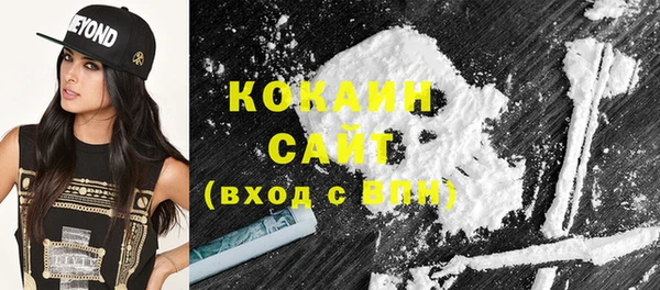 крисы Армянск
