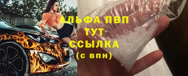 стафф Аркадак