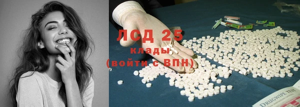 стафф Аркадак