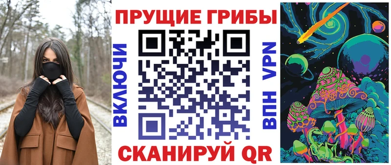 купить наркотики цена KRAKEN зеркало Псилоцибиновые грибы Psilocybe Тутаев